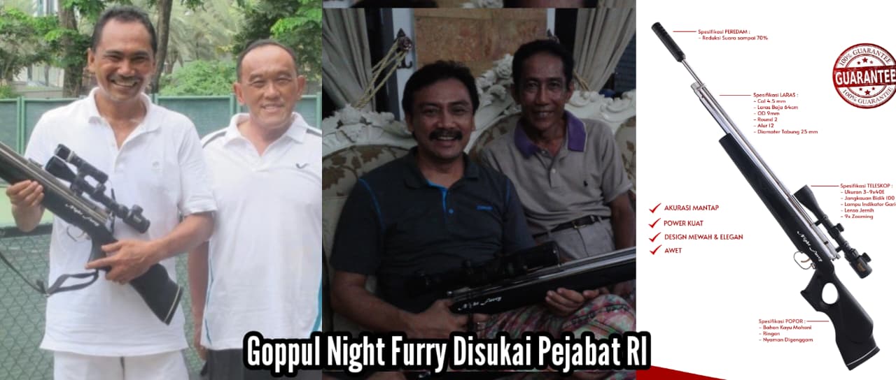 senapan angin berburu